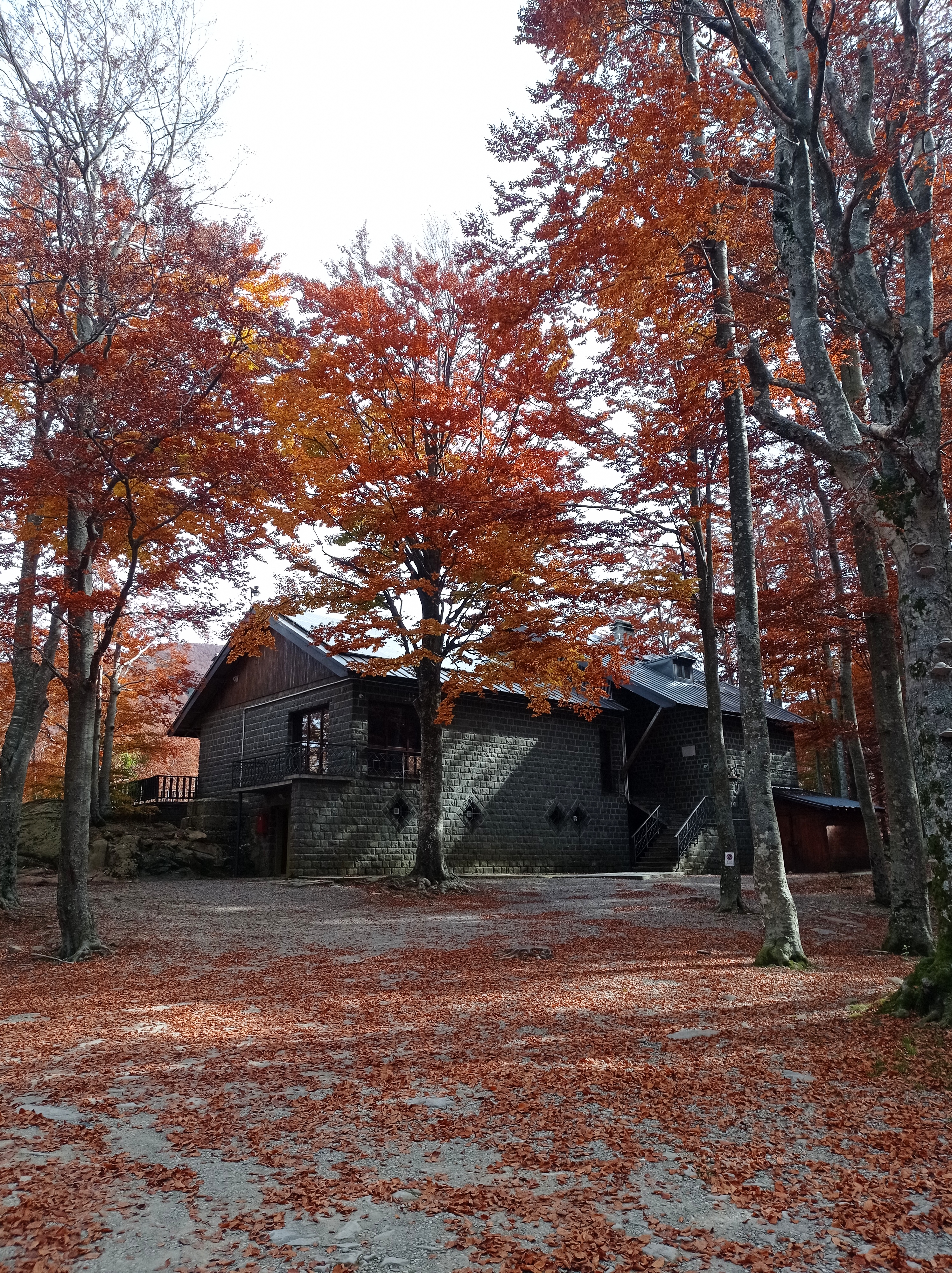 Rifugio Lagoni nel bosco in autunno